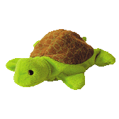 TY  Beanie Baby  ~  SPEEDY ... Turtle  *  NWT