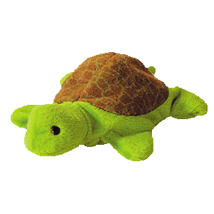 sea turtle beanie baby