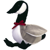 TY  Beanie Baby  ~  LOOSY ... Goose  *  NWT