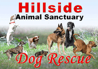 Dog Rescue Appeal