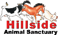 Hillside Straw Fund