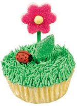 Flower Cupcakes