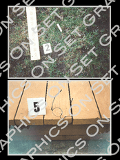 Crime Scene Photo 7