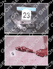Crime Scene Photo 10