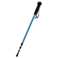 Promaster 6923 Walking Stick / Monopod