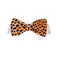 Roberto Dog Bow Tie, Orange