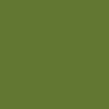 Classic Neocolor II Chromium Oxide Green   |  7500.212