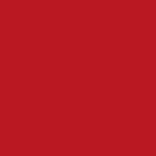 Maimeri Puro Oil Paints 40ml Group 4 - Cadmium Red Medium