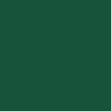 Matisse Background Colour 250ml - Forest Green