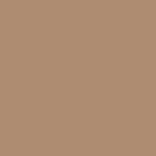Matisse Structure Acrylic 250ml - Raw Umber S1