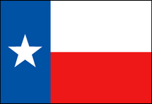 Hilton International State Flag - Texas