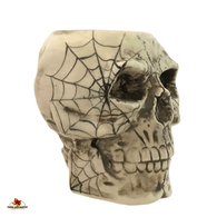 Skull Holder with Cobweb Design, Skull Container for Pencils & Pens, Toothbrush Holder, Planter, Horror Decor, Made in the USA