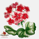 The single red geranium is embroidered on the disinfecting wipes cover.