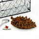 Collectible personal size pine cone teabag holder