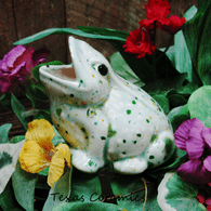 Wide mouth frog ceramic plant tender in herb garden glaze.