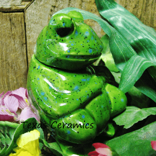 Kiwi green sitting frog plant tender.