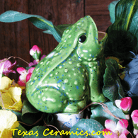 Fat body wide mouth green frog plant tender.