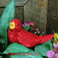 Red Bird Plant Tender for Indoor or Outdoor Potted Plants or Container Gardens - Made in the USA