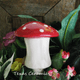 Red cap mushroom plant tender for indoor or outdoor container gardens.