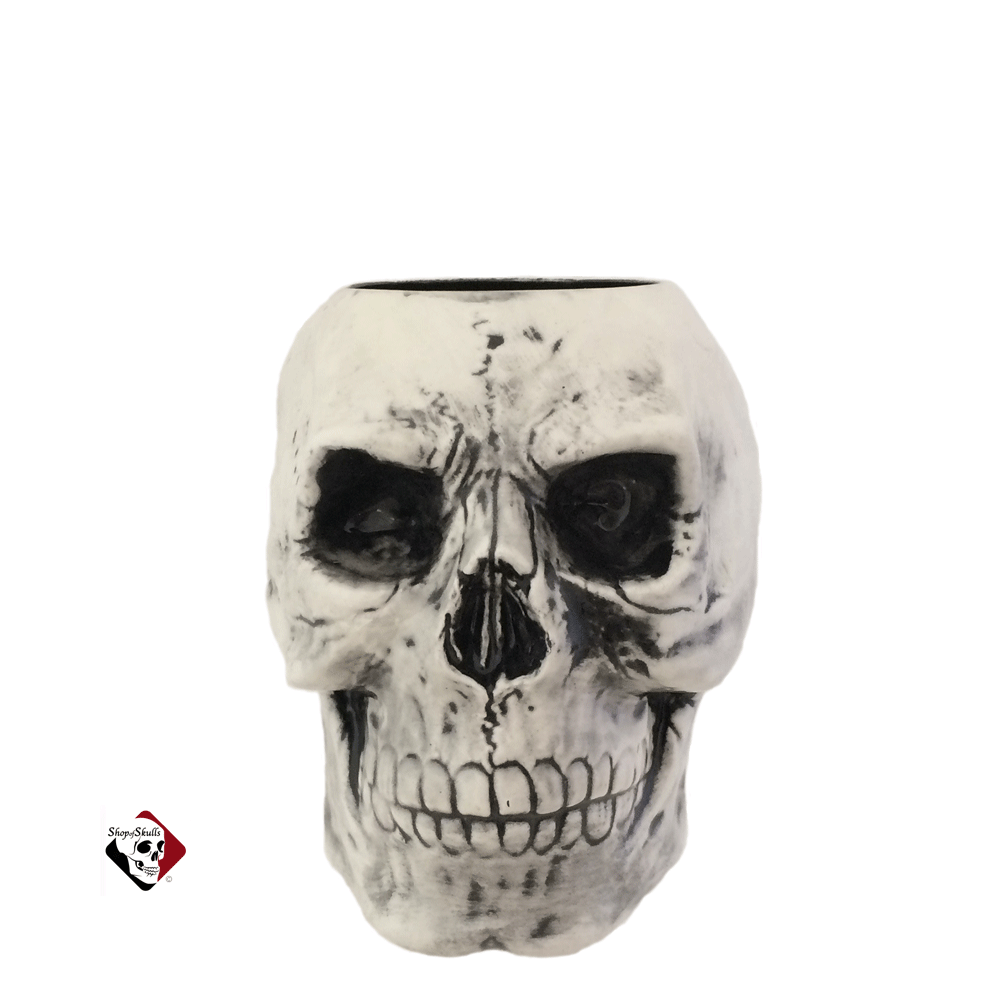 Skull Container Or Holder For Toothbrushes Tools Pencils Or Pens