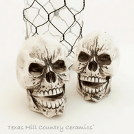 Skull salt and pepper shakers for kitchen or dining.