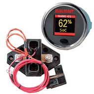 Balmar SG200 Battery Monitor Kit w/Display Shunt & 10M Cable 12-48 VDC