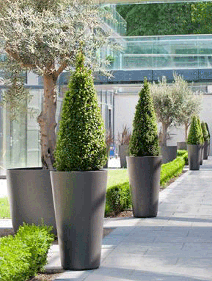 Alto Planter - Lean and well proportioned cement planter