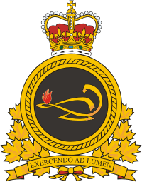 canadian forces training badge recruiting education armed systems insignia badges military branch system vector sticker recruitment caf selection overview public