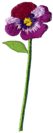 Ov11415 - Single Leafed Pansy