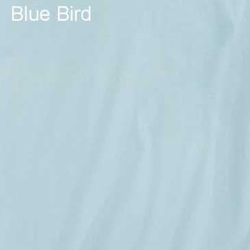 Blue Bird