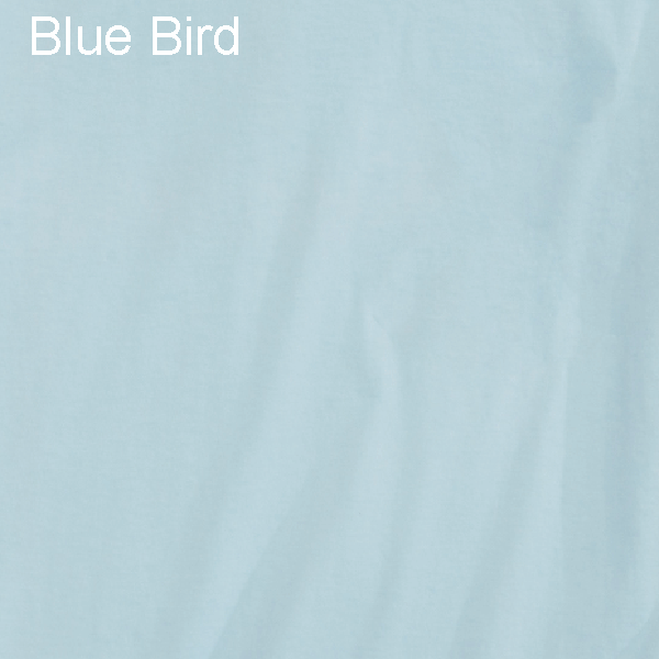 Blue Bird