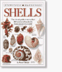 Shells (Eyewitness Handbooks)