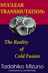 Nuclear Transmutation: The Reality of Cold Fusion