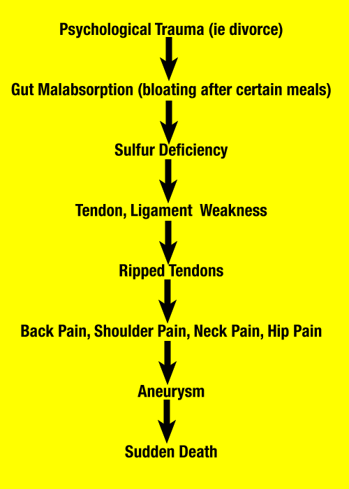 tendon3.gif tendon3.gif
