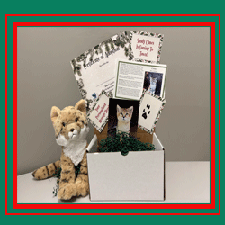 Special Sandy Claws Adoption  