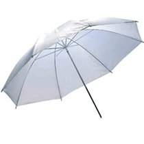 42" white shoot-through Umbrella