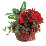 Holiday Planter Basket with Poinsettia