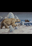Hunting Lesson - Polar Bear - Hunting Lesson - Polar Bear