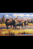 Alaskan Sentinels - Moose