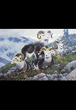 Mountain Guardians - Stone Sheep - Mountain Guardians - Stone Sheep