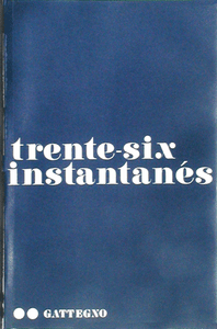 Trente-six Instantanés by C Gattegno