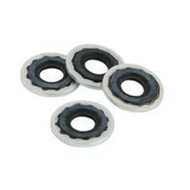 Belmed Inc. Cylinder Seals - Reusable Metal/Viton (Set of 4), 5404-0001
