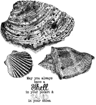 PS009 Shells, Set of 4 - Palettini