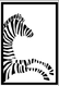 SD622 Zebra ATC