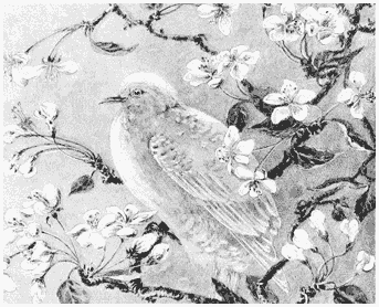 S249 Bird and Blossoms