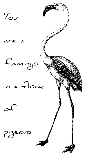 SD659 Flamingo
