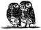 SD664 Owls