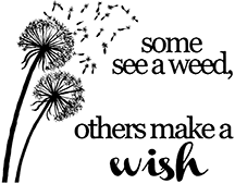 SD694 Weed or Wish