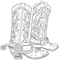 SD674 Cowboy Boots