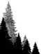 S695 Hillside Pines